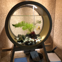 お料理 とみやま - 