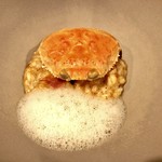 セルサルサーレ - セイコガニのリゾット 生ハムを散らして 生姜の泡