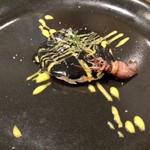 セルサルサーレ - 自然薯と蛍烏賊のソテー お好み焼き風