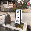 天ぷら 松