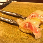 セルサルサーレ - 