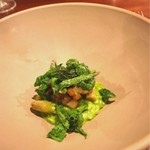 セルサルサーレ - 