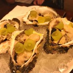 セルサルサーレ - 