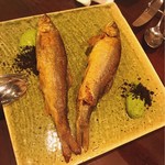 セルサルサーレ - 