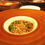 セルサルサーレ - 