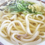 丸池製麺所 - かけうどん