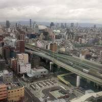 鉄板焼 RURI (アートホテル大阪ベイタワー) - 