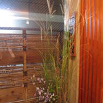 滝乃家 - 秋ですね～。イワジャシンと糸すすき。