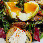 ビストロ ティアボ - 