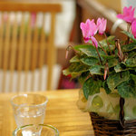 セピアコーヒー - 2011/11/5 テラス席