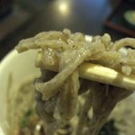 中国山地蕎麦工房 ふなつ - ふなつ・かまあげ 蕎麦近影 挽きぐるみ(2011.08)