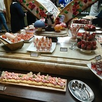 スプレンディード - 