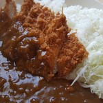 かつふじ 苫小牧店 - 2019 2/16 カツカレー80ｇ