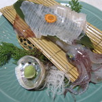 はつしろ - メインの活きイカ、鮮度抜群！