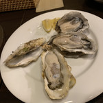 Oysterbar W - 