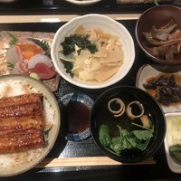 うなぎ 目白ぞろ芽 - 