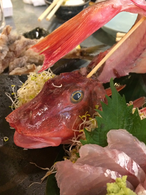 Jizakana Sakaba Uohachi Shoten Torame Yokocho photo 3