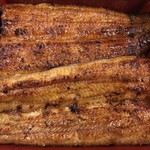 鰻はし本 - 鰻重