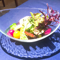 サンタ・マリア・ノヴェッラ・ティサネリーア 京都店 - 25種類の野菜とハーブドレッシング