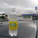 LAWSON - ドリンク写真:ウイルキンソン¥103