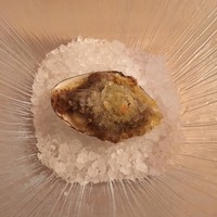 セルサルサーレ - 