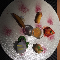 インカメラ コン テラッツァ - 