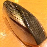 鮨 しゅん輔 阿佐ヶ谷 - こはだ