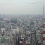 CocktailLoungePanorama - 午後の光景＜http://bar-navi.suntory.co.jp/contents/hotelbar/2011/04/index.html＞