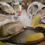 Oyster Bar ジャックポット - 