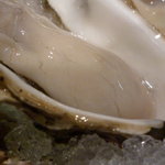 Oyster Bar ジャックポット - 