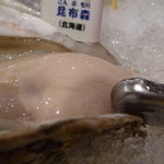 Oyster Bar ジャックポット - 