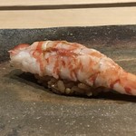 菊鮨 - 車海老・・甘味が強く間に味噌を叩いた品が入っていますので、より旨みが濃厚に。