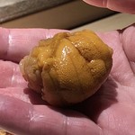 菊鮨 - ◆バフンウニ（歯舞）・・甘いですね。