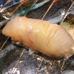 第三春美鮨 - 鮃　2.0kg　浜〆　釣　青森県大間