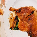 ウィルビウス - 