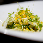 TACUBO - オレキエッテ