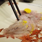 日本料理 村上 - ◆『お造り』「日本海のふぐ刺し」ふぐ刺しのまとめすくい喰い✨