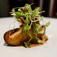 TACUBO - 