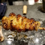 鳥さわ22 - かわ