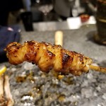 鳥さわ22 - かわ