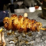 鳥さわ22 - かわ