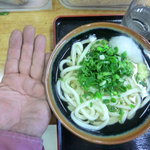 白川うどん - ネギは自由にチョイスできる　小220グラムの平均的大きさ