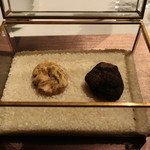 グランド ダイア - トリュフ