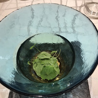 クイントカント - 