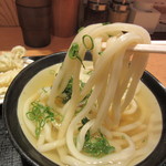 日本橋 讃岐うどん ほし野 - うどん　リフト