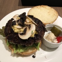 ダルマット 六本木ヒルズ店 - 