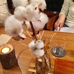 セララバアド - 