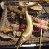 ごん助 ごん助