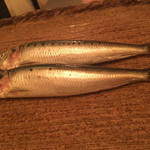 ボニュ - このイワシも気づけば、