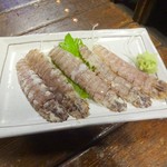 栄屋酒場 - シャコ